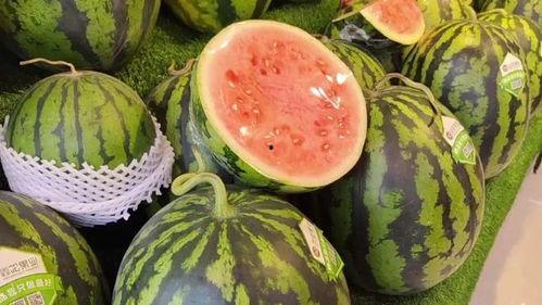 摆摊男网红吃瓜