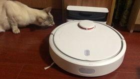 吃瓜机器人官网入口,一键解锁趣味资讯新体验