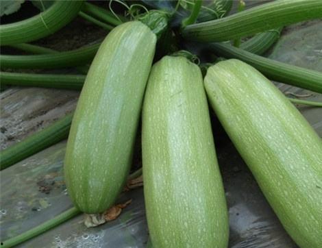 吃瓜网的其他功能,一站式娱乐资讯平台，畅享全网热点