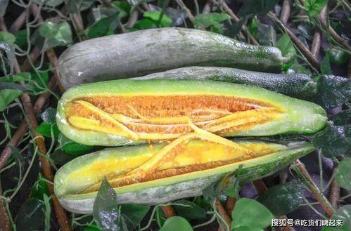 网红陈妮妮吃瓜,揭秘娱乐圈幕后真相