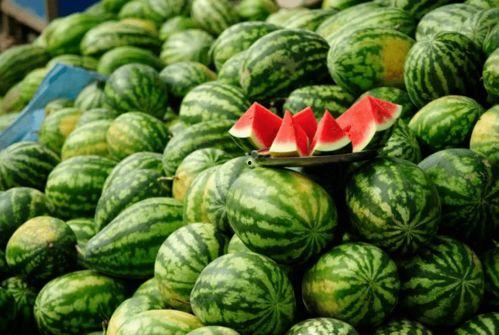 吃瓜网红圈,幕后故事与热门话题大盘点